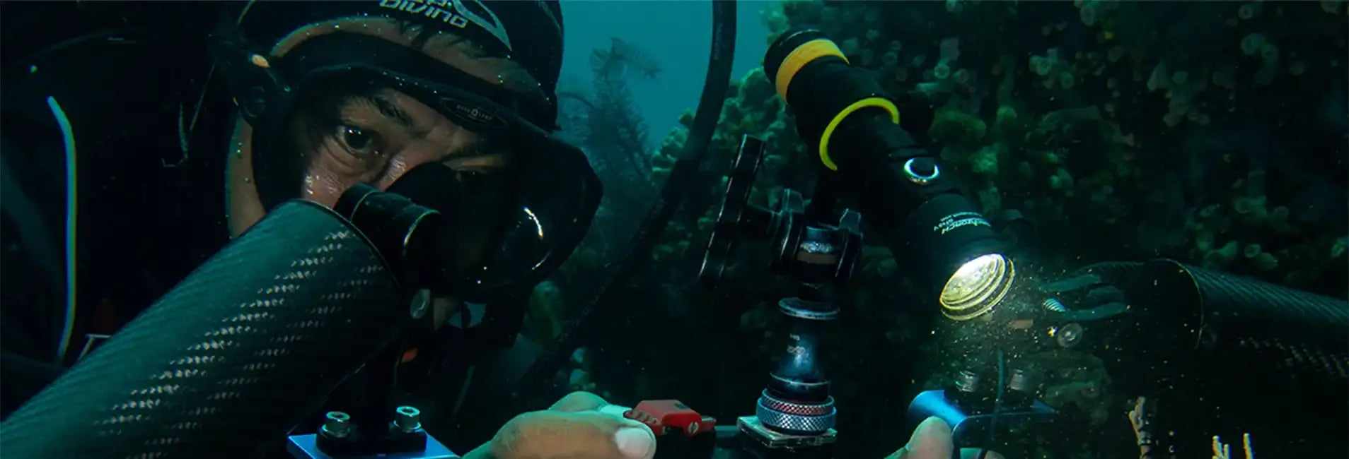 Okinawa: Immersioni e snorkeling alla Grotta Blu - Stati Uniti