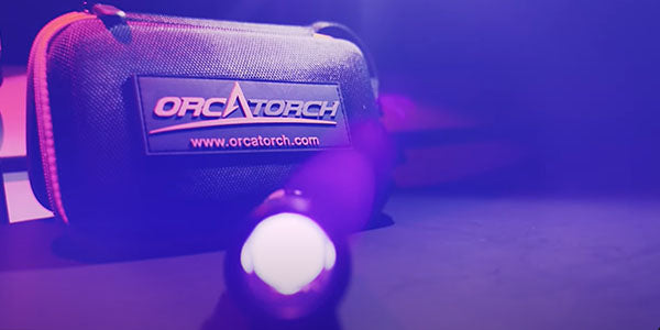 Night Dive With OrcaTorch D530 UV Dive Light