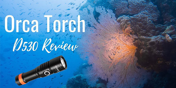 Sharing My Experience with the OrcaTorch D530 Diving Flashlight