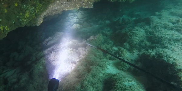Diving into Adventure with OrcaTorch D550 Dive Light: My Spearfishing Companion