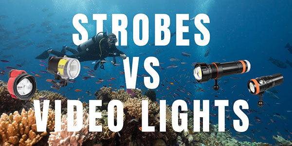 Exploring the Debate: Strobes or Video Lights for Underwater Photography with OrcaTorch
