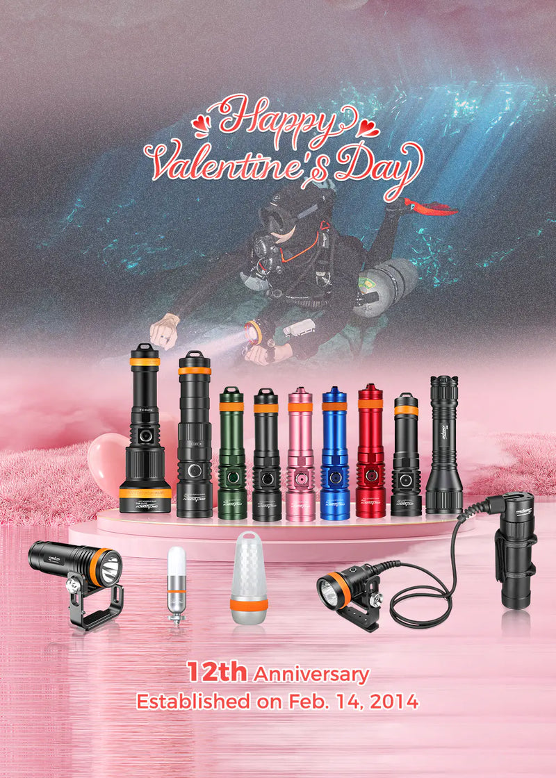 OrcaTorch 12th Anniversary 2