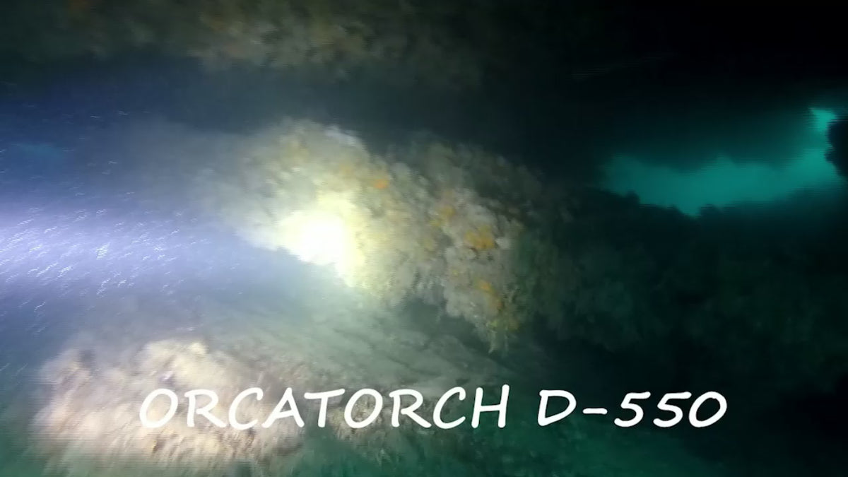 OrcaTorch D550 1000 Lumens Lampe de plongée sous-marine avec interrupteur magnétique de queue