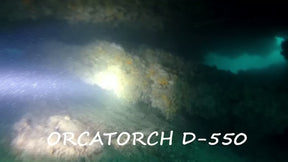 OrcaTorch D550 1000 Lúmenes Luz de Buceo con Interruptor Magnético de Cola